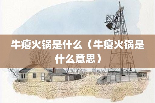 牛瘪火锅是什么（牛瘪火锅是什么意思）
