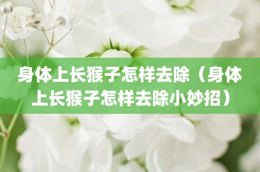 身体上长猴子怎样去除（身体上长猴子怎样去除小妙招）