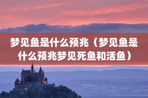 梦见鱼是什么预兆（梦见鱼是什么预兆梦见死鱼和活鱼）