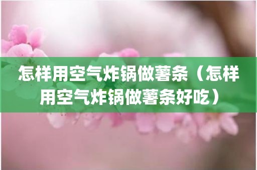 怎样用空气炸锅做薯条（怎样用空气炸锅做薯条好吃）