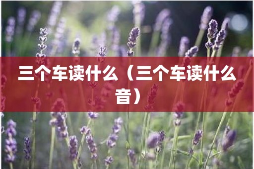 三个车读什么（三个车读什么音）