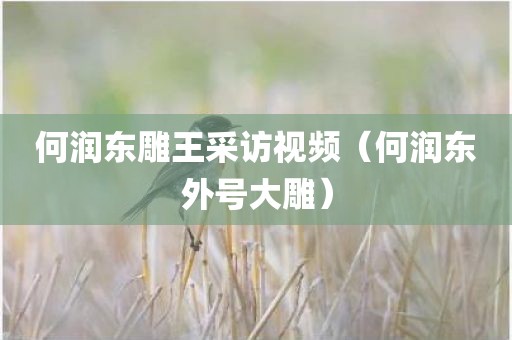 何润东雕王采访视频（何润东外号大雕）