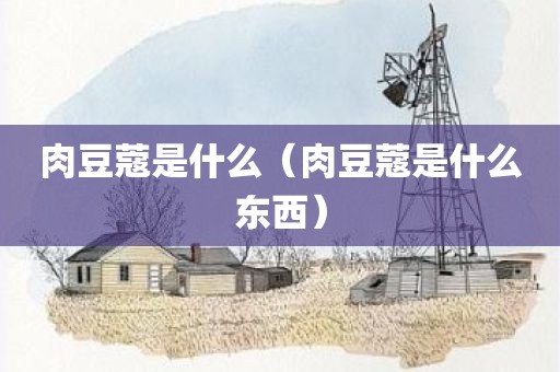 肉豆蔻是什么（肉豆蔻是什么东西）