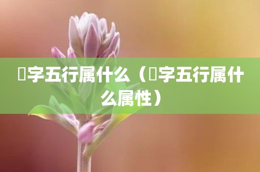栢字五行属什么（栢字五行属什么属性）