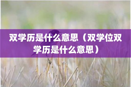 双学历是什么意思（双学位双学历是什么意思）