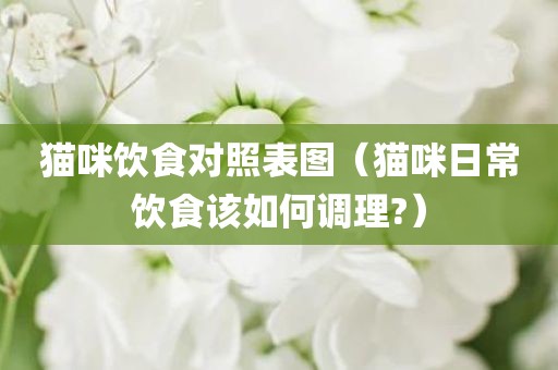 猫咪饮食对照表图（猫咪日常饮食该如何调理?）