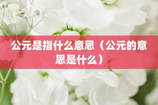 公元是指什么意思（公元的意思是什么）