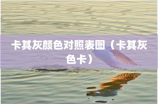 卡其灰颜色对照表图（卡其灰色卡）