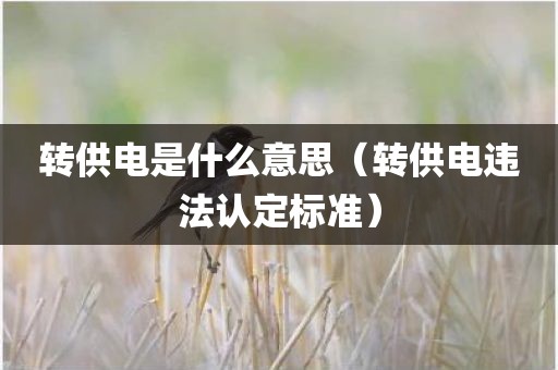 转供电是什么意思（转供电违法认定标准）