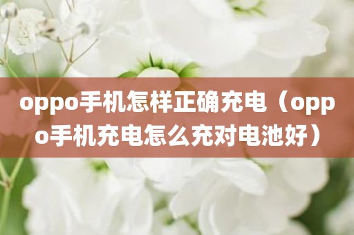 oppo手机怎样正确充电（oppo手机充电怎么充对电池好）