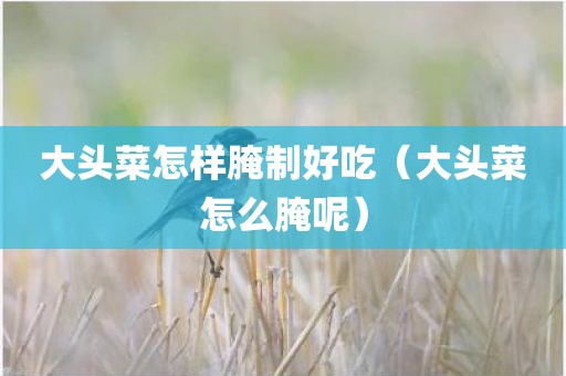 大头菜怎样腌制好吃（大头菜怎么腌呢）