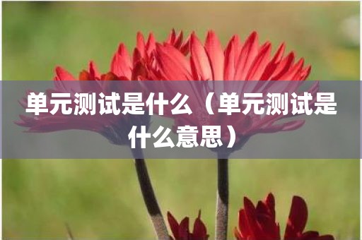 单元测试是什么（单元测试是什么意思）