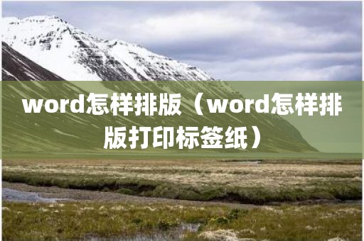 word怎样排版（word怎样排版打印标签纸）