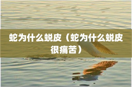 蛇为什么蜕皮（蛇为什么蜕皮很痛苦）