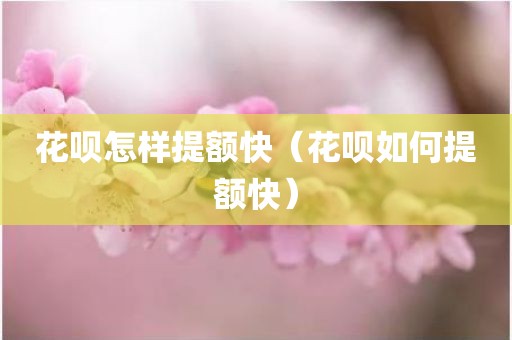 花呗怎样提额快（花呗如何提额快）