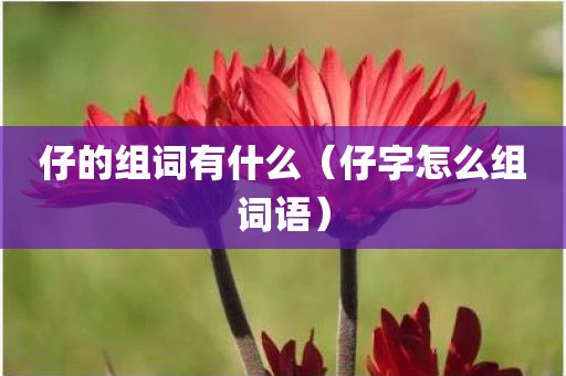 仔的组词有什么（仔字怎么组词语）