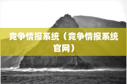 竞争情报系统（竞争情报系统官网）