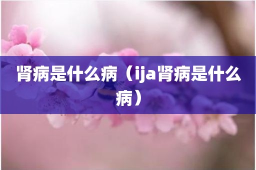 肾病是什么病（ija肾病是什么病）