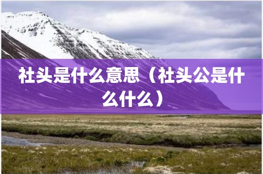 社头是什么意思（社头公是什么什么）