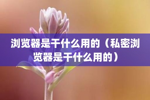 浏览器是干什么用的（私密浏览器是干什么用的）