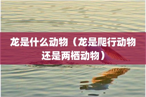 龙是什么动物（龙是爬行动物还是两栖动物）