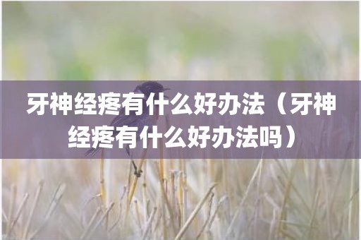 牙神经疼有什么好办法（牙神经疼有什么好办法吗）