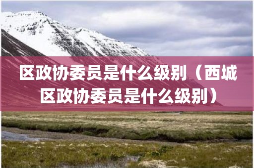 区政协委员是什么级别（西城区政协委员是什么级别）