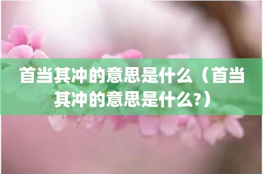 首当其冲的意思是什么（首当其冲的意思是什么?）