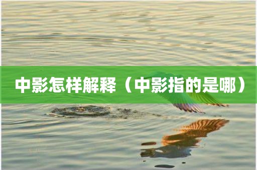 中影怎样解释（中影指的是哪）