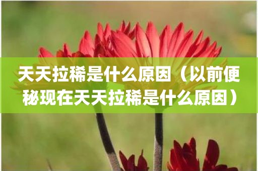 天天拉稀是什么原因（以前便秘现在天天拉稀是什么原因）