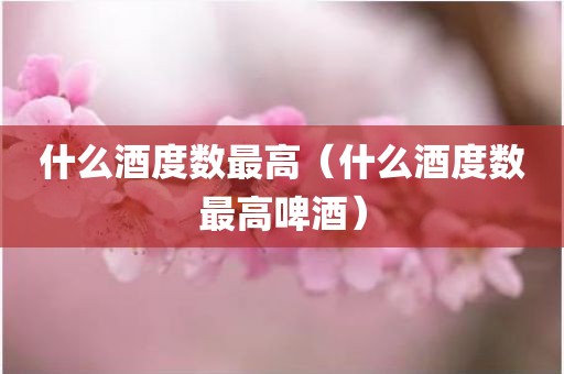 什么酒度数最高（什么酒度数最高啤酒）