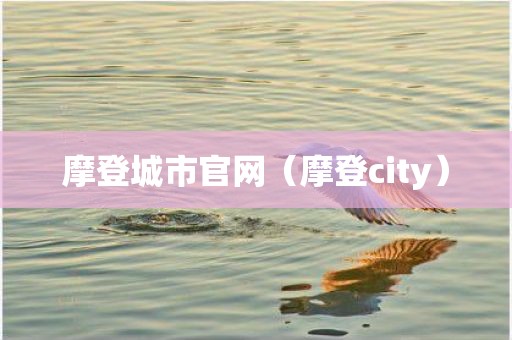 摩登城市官网(摩登city)