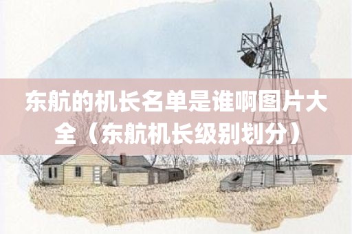 东航的机长名单是谁啊图片大全（东航机长级别划分）