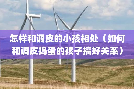 怎样和调皮的小孩相处（如何和调皮捣蛋的孩子搞好关系）