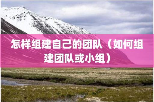 怎样组建自己的团队(如何组建团队或小组)