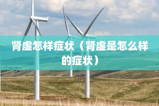 肾虚怎样症状（肾虚是怎么样的症状）