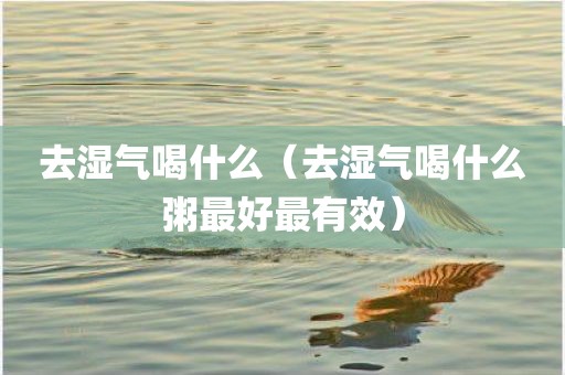 去湿气喝什么（去湿气喝什么粥最好最有效）