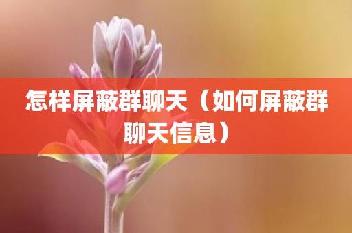 怎样屏蔽群聊天（如何屏蔽群聊天信息）