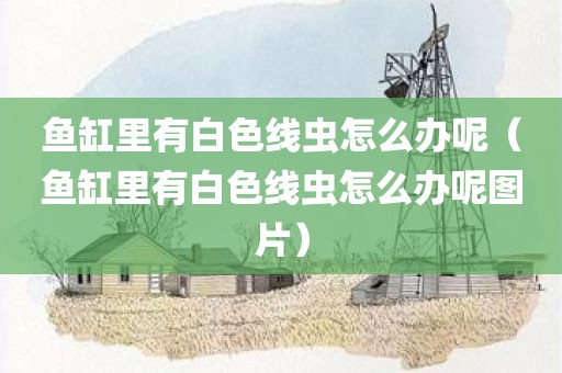 鱼缸里有白色线虫怎么办呢（鱼缸里有白色线虫怎么办呢图片）