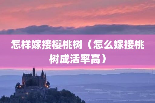 怎样嫁接樱桃树（怎么嫁接桃树成活率高）