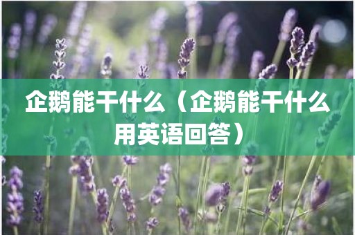 企鹅能干什么（企鹅能干什么用英语回答）