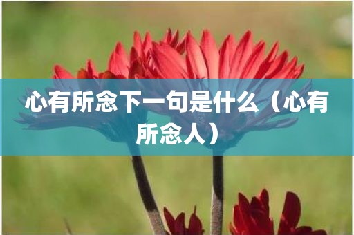 心有所念下一句是什么（心有所念人）