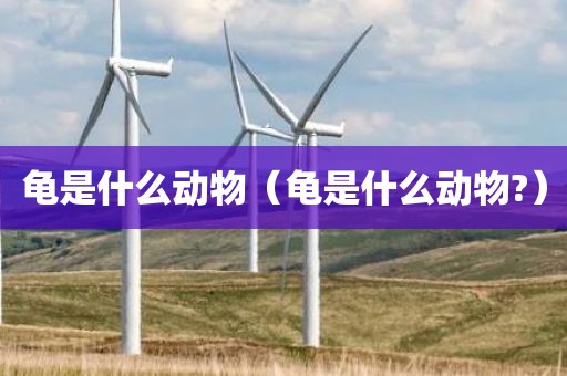 龟是什么动物（龟是什么动物?）