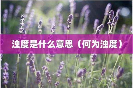 浊度是什么意思（何为浊度）