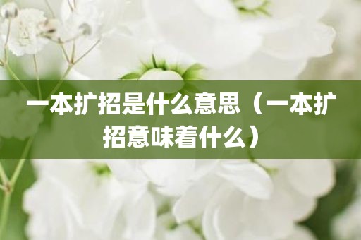 一本扩招是什么意思（一本扩招意味着什么）