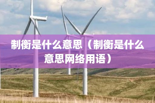 制衡是什么意思（制衡是什么意思网络用语）