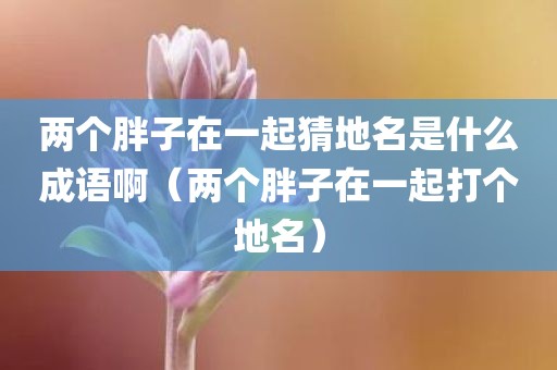 两个胖子在一起猜地名是什么成语啊（两个胖子在一起打个地名）