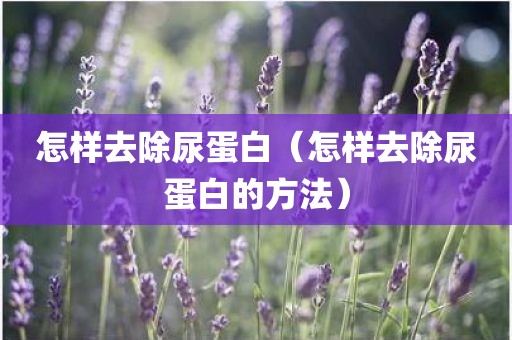怎样去除尿蛋白（怎样去除尿蛋白的方法）