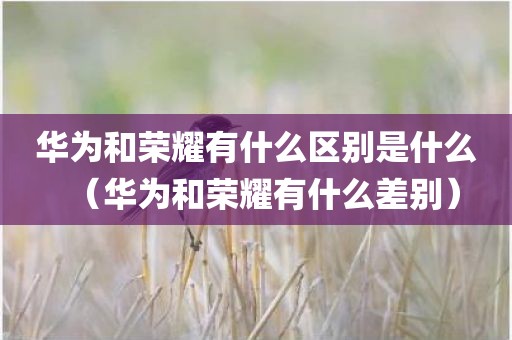 华为和荣耀有什么区别是什么（华为和荣耀有什么差别）