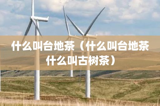 什么叫台地茶（什么叫台地茶什么叫古树茶）